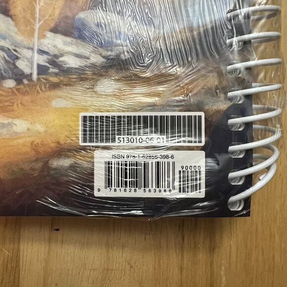 BJU Bob Jones Reading 5 Quests Activities Answer Key Homeschool Curriculum - Picture 5 of 6